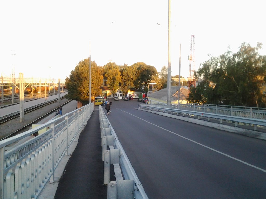 вокзал-мост, Лозовая