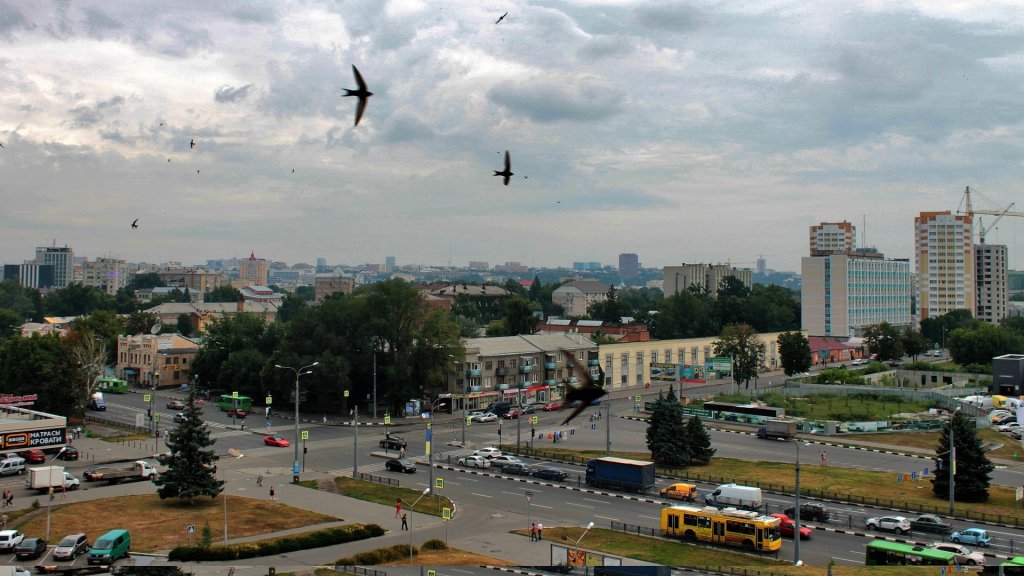 Харьков с высоты птичьего полета, Харьков