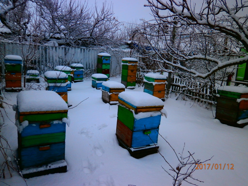 В Бериславском районе много пчеловодов., Берислав