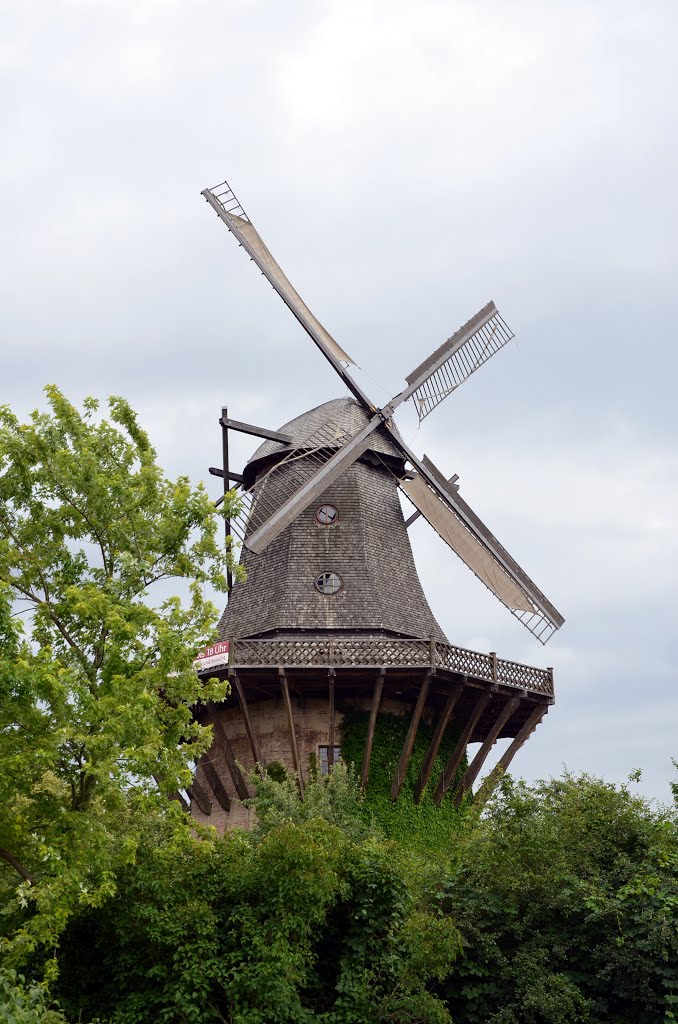 Windmill, Sanssouci Park, Potsdam (UNESCO), Потсдам