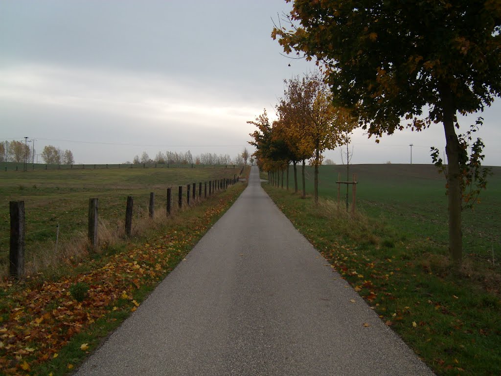 Weg Berg auf, Грейфсвальд