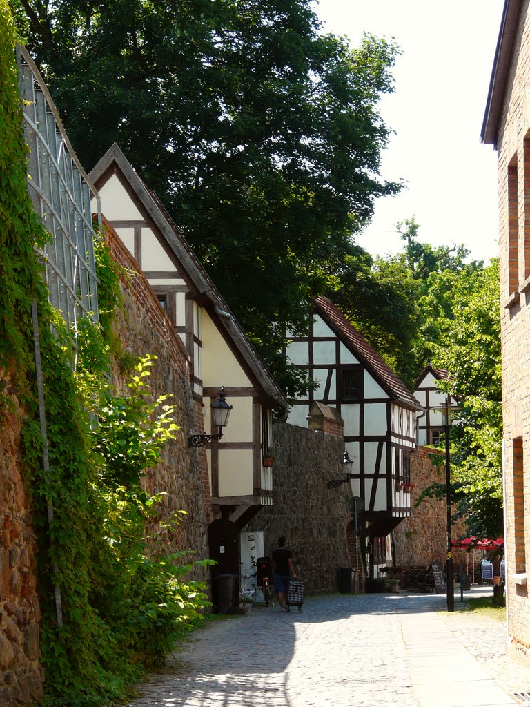 Germany_Mecklenburg_Neubrandenburg_City Wall with timber-framed Outlook Houses (Wiekhaus)_P1140836.JPG, Нойебранденбург