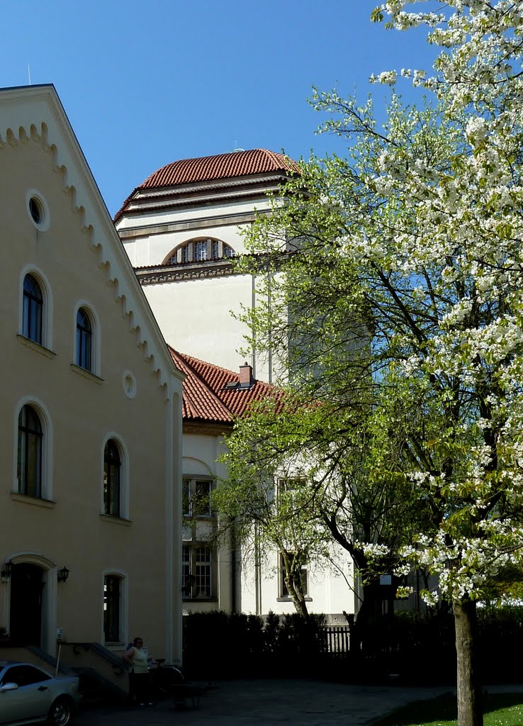 Gute Nachbarschaft, Katholisches Pfarrhaus und Synagoge, Герлиц