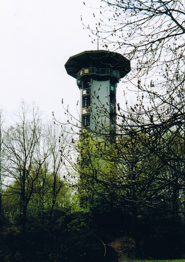 Bärensteinturm, Плауэн
