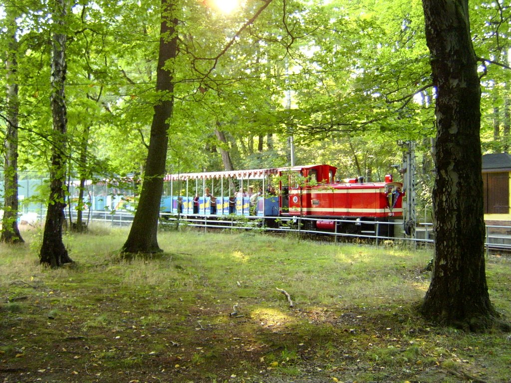 Parkeisenbahn, Хемниц