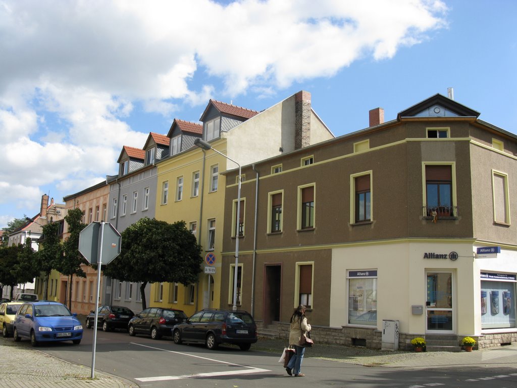 Four colour house, Бернбург