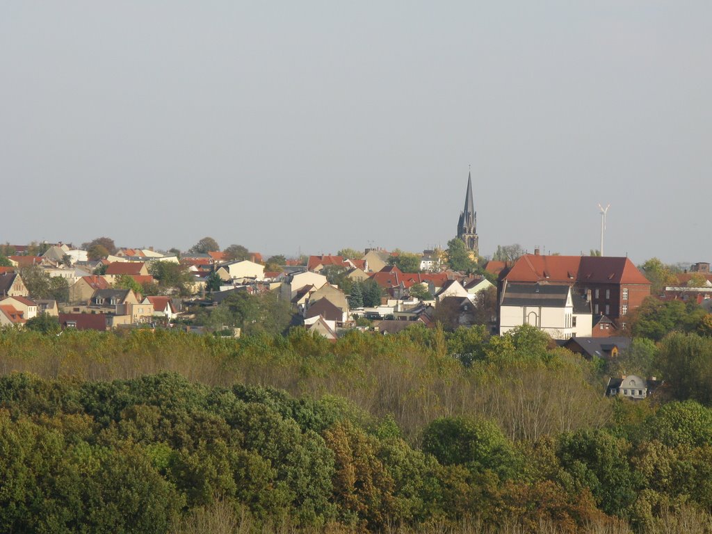 Bernburg (from far), Бернбург
