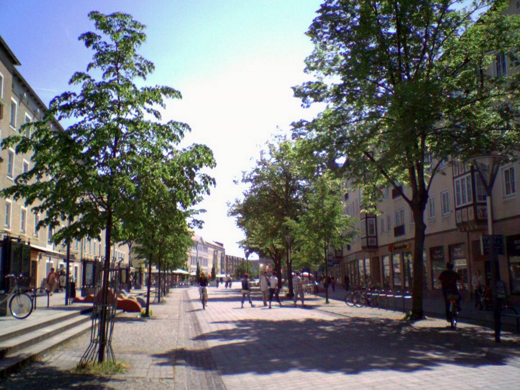 Zerbster Straße, Дессау