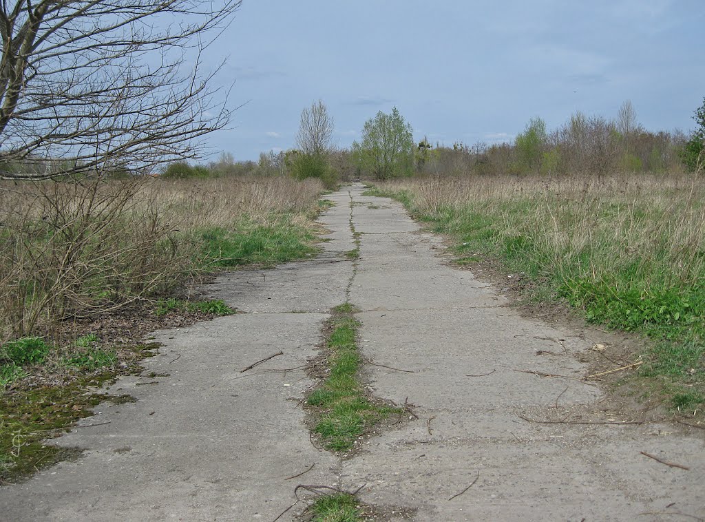 Plattenweg zur ehemaligen Kaserne [ℹ], Зейтз