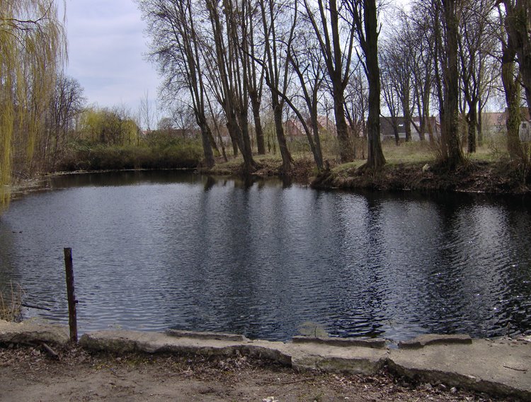 Teich am Blauen Stein, Зейтз
