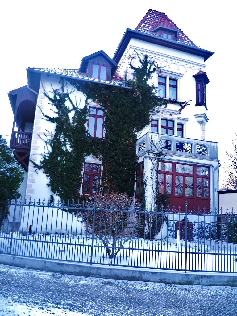 Villa am Kurpark, Волмирстэдт