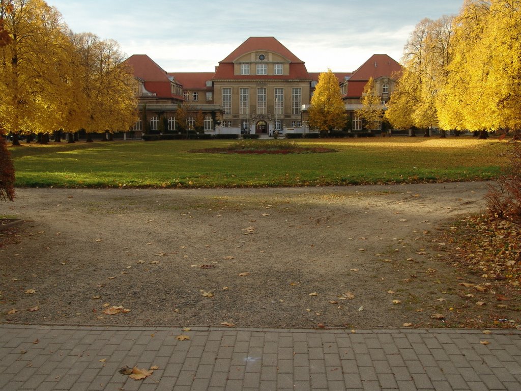 Herbst, Käthe Kollwitz Gymnasium, Халберштадт