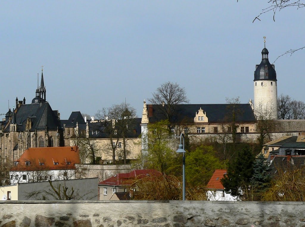 Altenburg  - Blick auf das Schloss aus Südost, Альтенбург