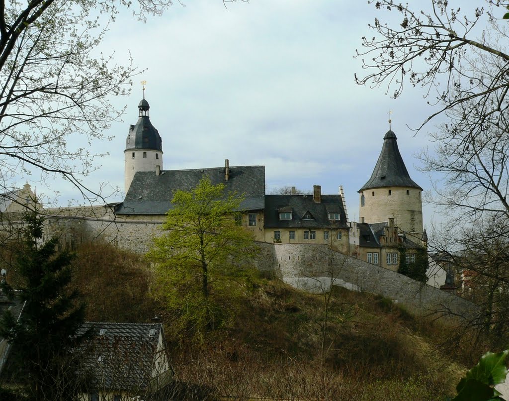 Schloss Altenburg  - Blick auf den Bergfried der ehem. Burg den"Hausmannsturm"(links) & den Wehr- und Wohnturm "Flasche" genannt (rechts), sowie die spätmittelalterliche Zwingermauer, Альтенбург