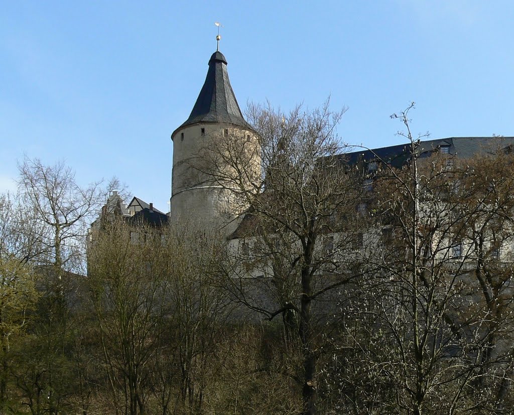 Altenburg - Blick über den Pauritzer Teich auf die Junkerei & die "Flasche" des Schlosses vom Norden, Альтенбург