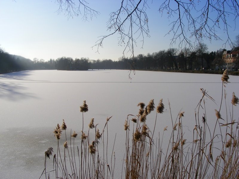 Großer Teich, Альтенбург