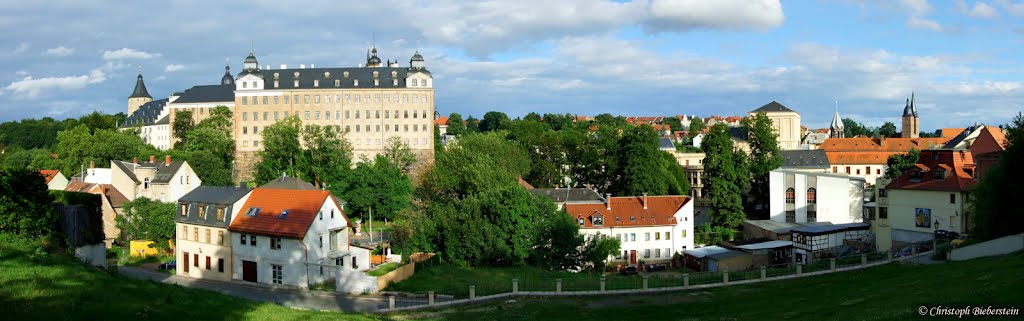 Schloß Altenburg und die Roten Spitzen - Aussicht vom Spitzweggässchen, Альтенбург