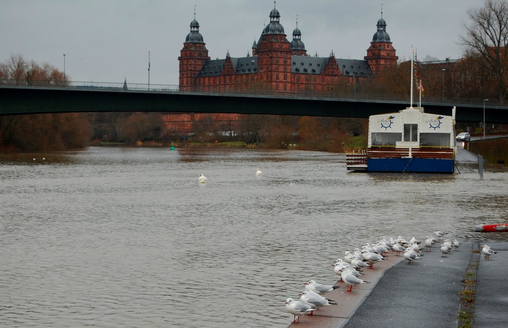 Aschaffenburg - Hochwasser im Hafen 01.2012 (Flood) - Restaurant Arche Noah am Floßhafen, Ашхаффенбург