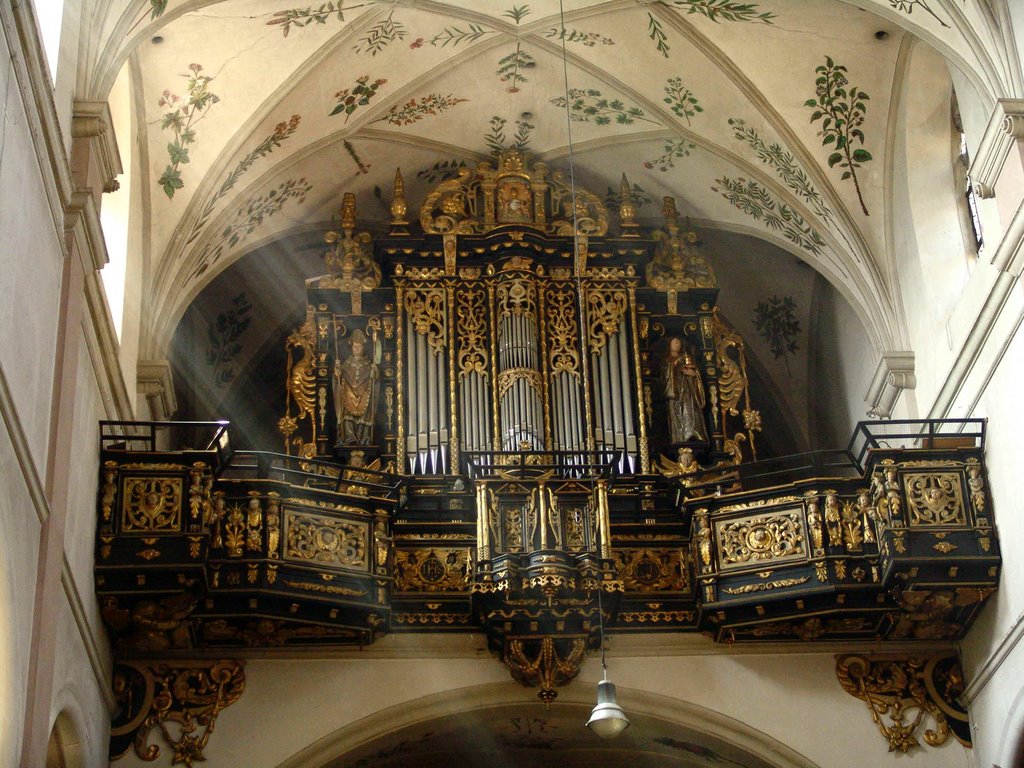 Orgel, Бамберг