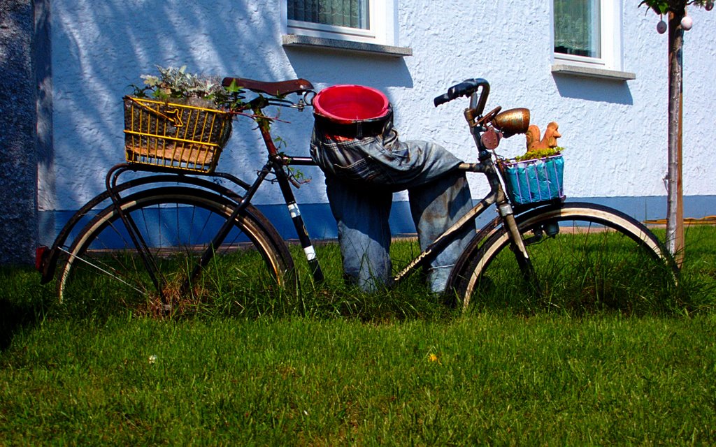 Gut eingewachsenes Fahrrad, Ерланген