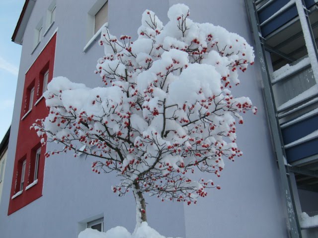 Winter Time 1, Ерланген