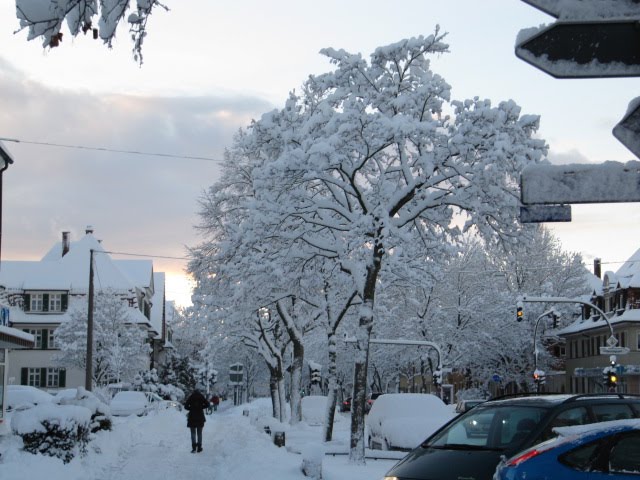 Winter Time 2, Ерланген