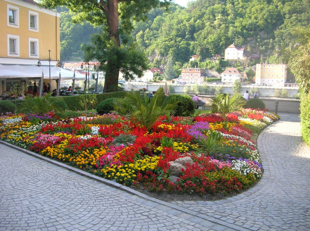 In Passau am Donauufer, Пасау