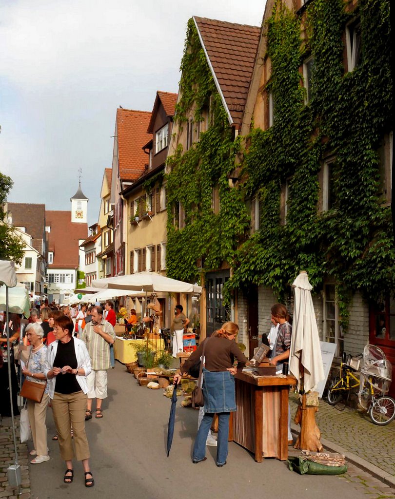 Handwerkermarkt 2007, Гоппинген