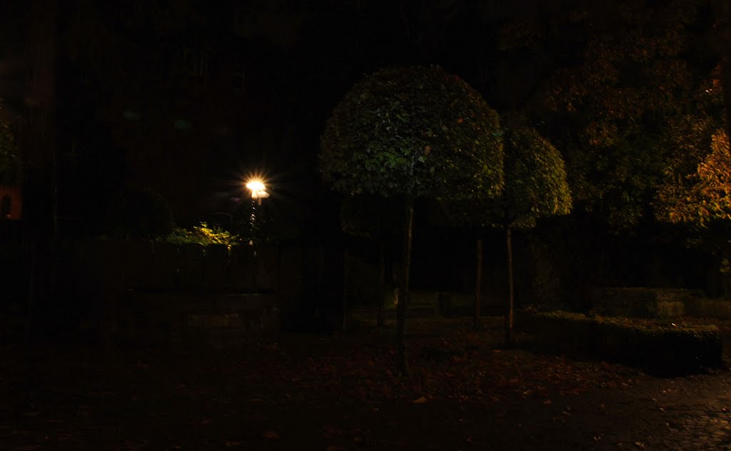 Nachts im Klostergarten, Зинделфинген