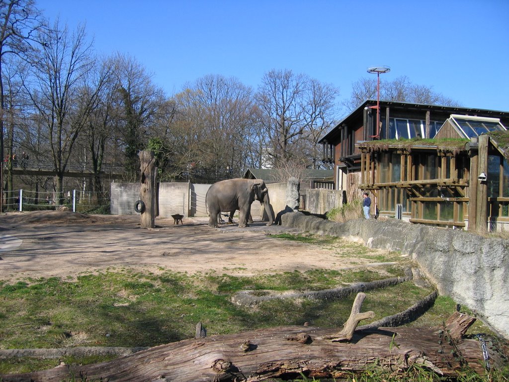 Elefantengehege im Karlsruher Zoo / Elephants enclosure in the Karlsruhe zoo, Карлсруэ