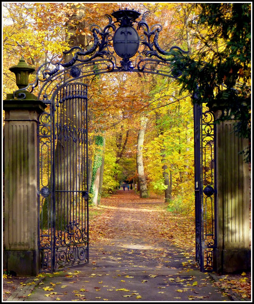 November im Karlsruher Schlossgarten (9.11.12), Карлсруэ