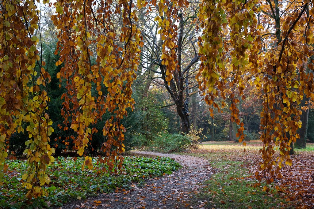 Goldener Herbst, Карлсруэ