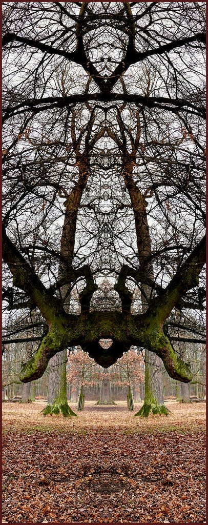 Mystical Tree, Людвигсбург