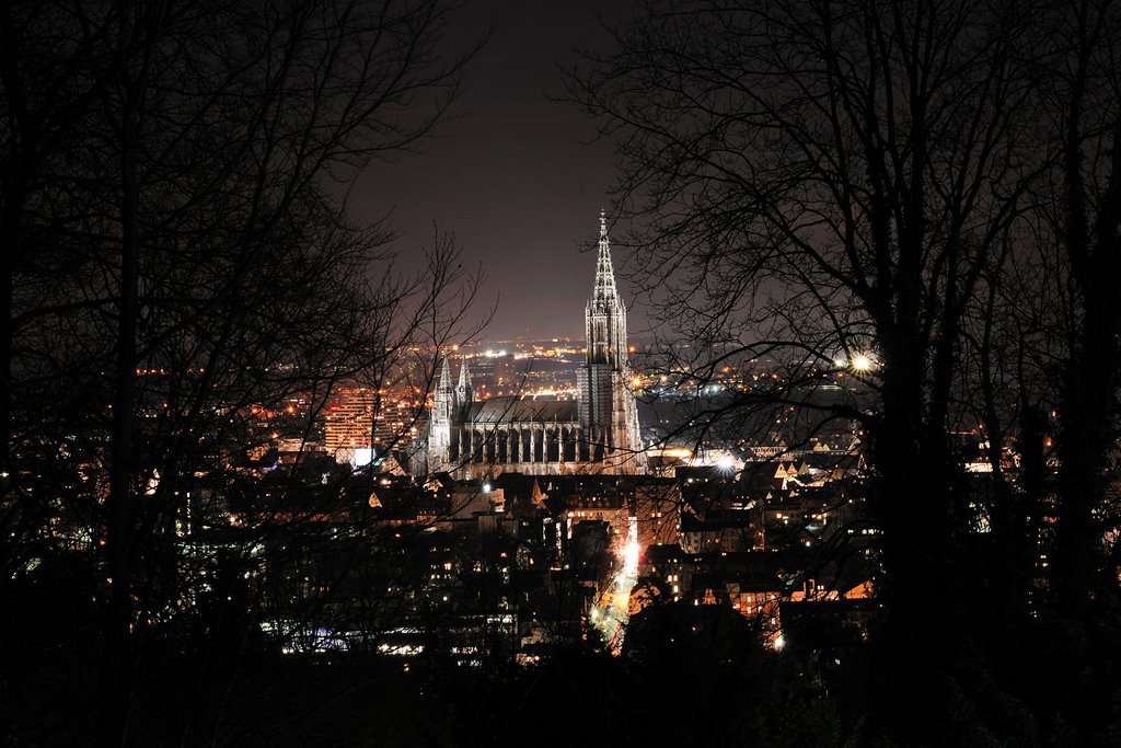 Night View of Ulm Cathedral, Ульм