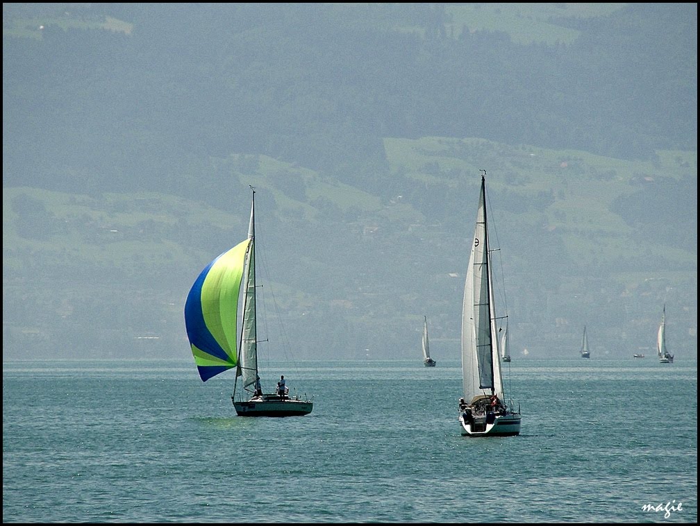 Regaty (i żeglowanie) na Jeziorze Bodeńskim/Regatta (and sailing) on the Constance Lake, Фридрихсхафен