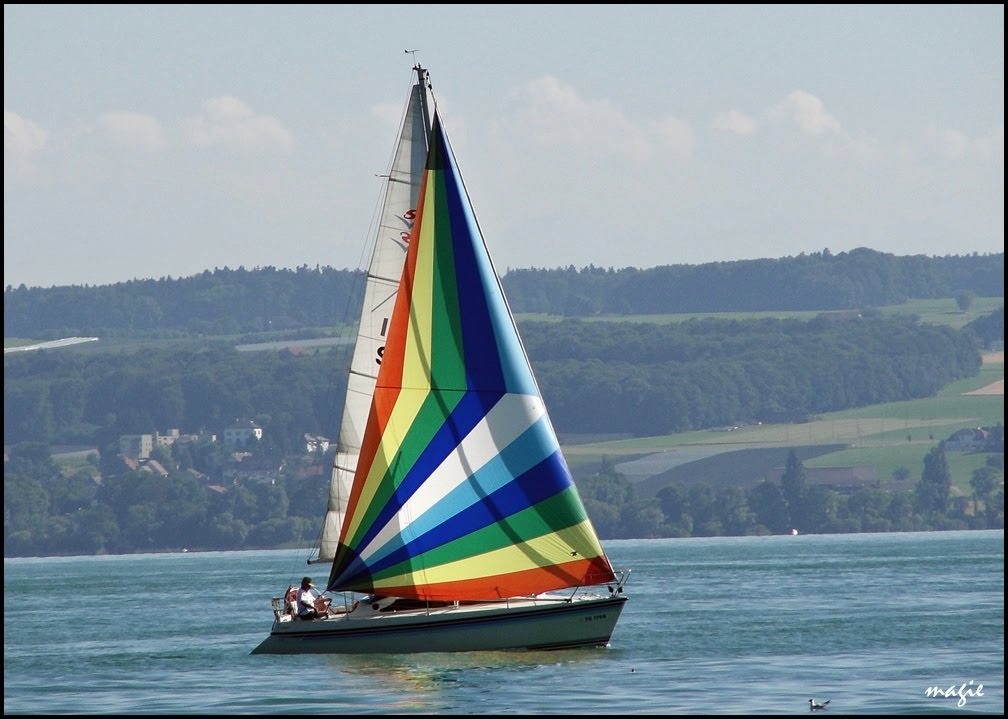 Regaty (i żeglowanie) na Jeziorze Bodeńskim/Regatta (and sailing) on the Constance Lake, Фридрихсхафен