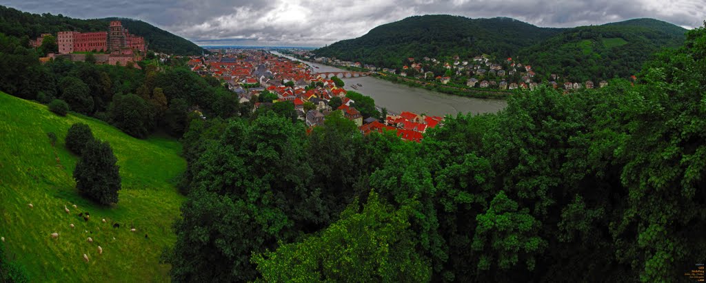 GER Heidelberg Schloss - City - [Neckar] from Schlossgarten in the rain Panorama by KWOT, Хейдельберг