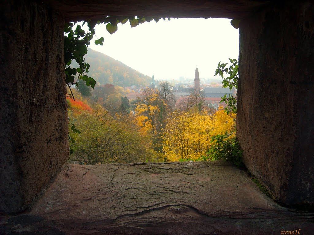 Μια κλεφτή ματια...(One pic...) - Heidelberg, Хейдельберг