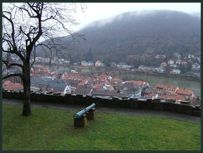 Heidelberg3, Хейдельберг