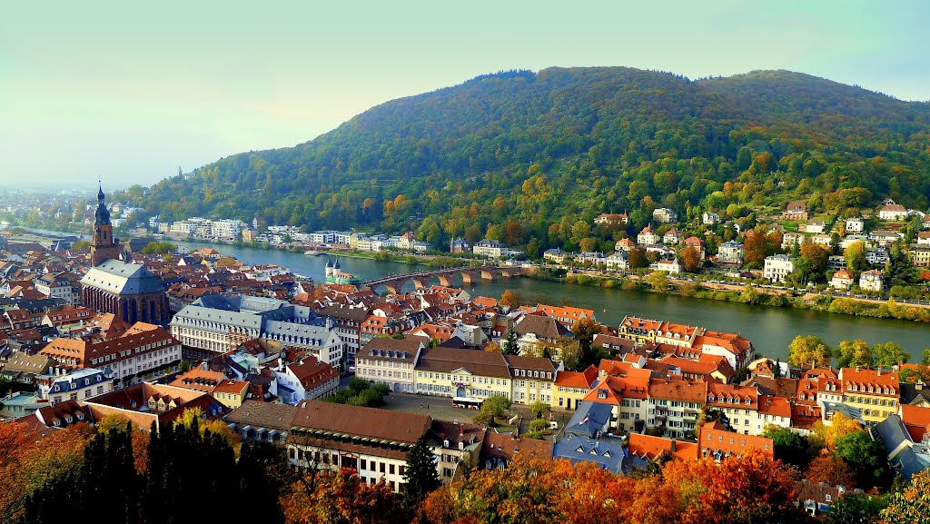 Vistas de Heidelberg desde el castillo (dedicada a "mackedwars" Eduardo), Хейдельберг