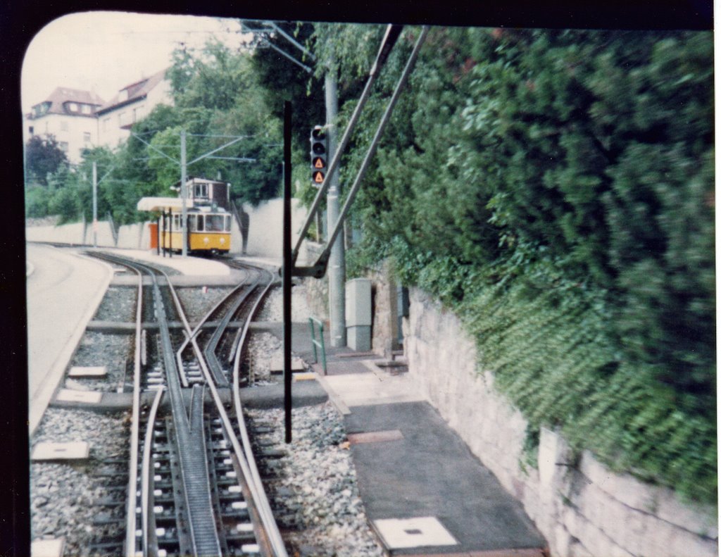 Stuttgart Wiehlandshöhe (1982), Штутгарт