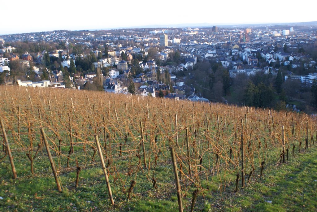 Wiesbaden Overview, Висбаден