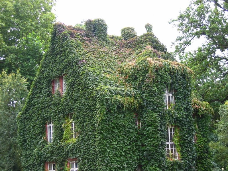 Gießen - Das grüne Haus, Гиссен