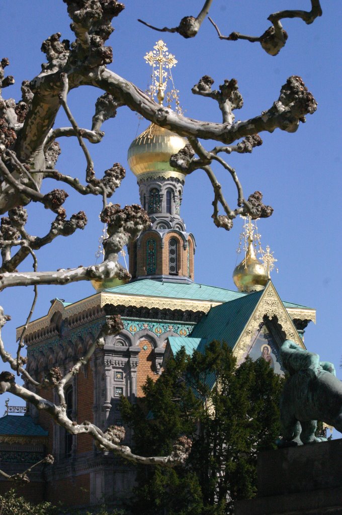 Platane küsst Russische Kapelle, Дармштадт