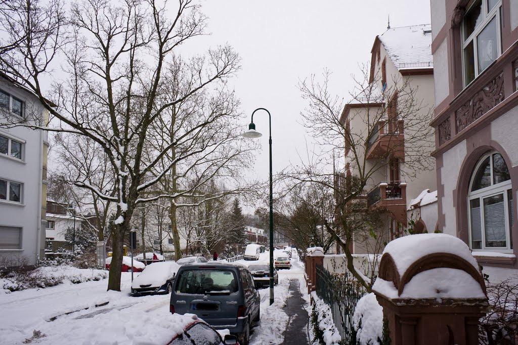 Winter, Дармштадт