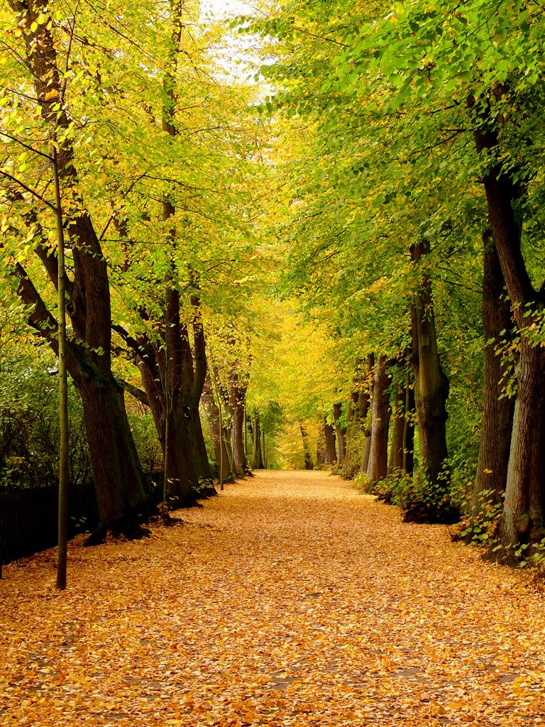 Herbst auf Lüneburgs Stadtmauer (2008), Лунебург