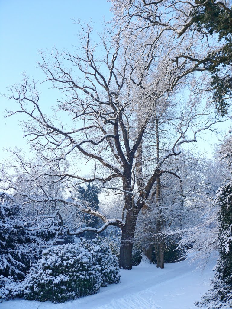 Winter im Schloßgarten, Олденбург