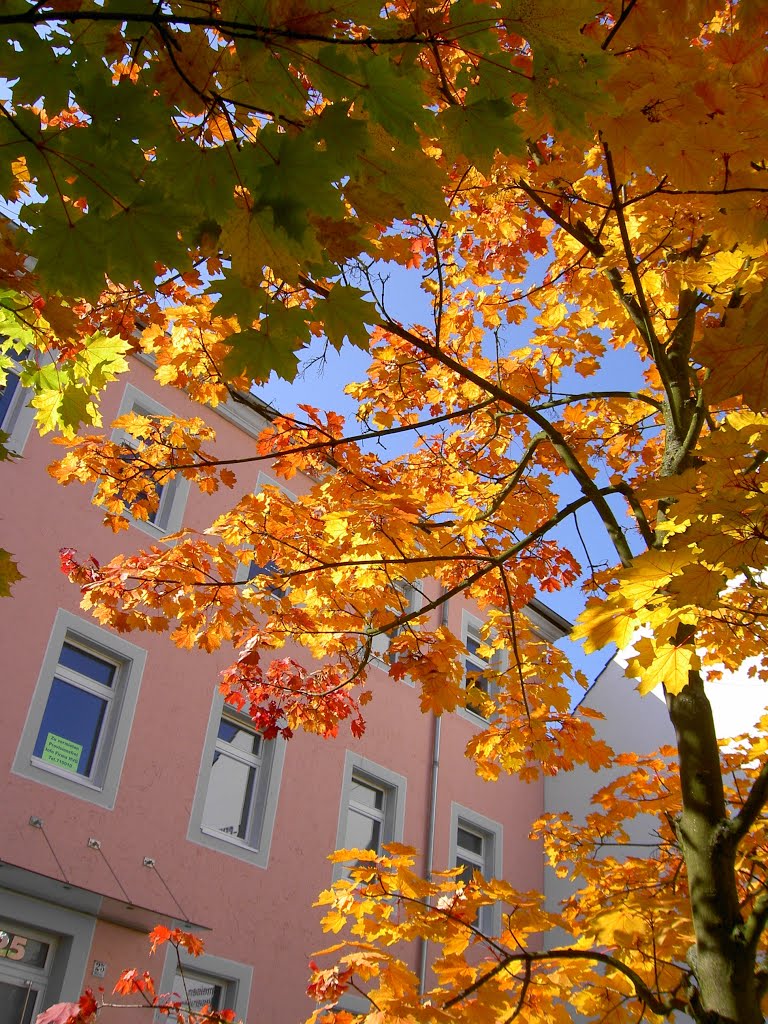 Herbst in der Stadt, Кайзерслаутерн