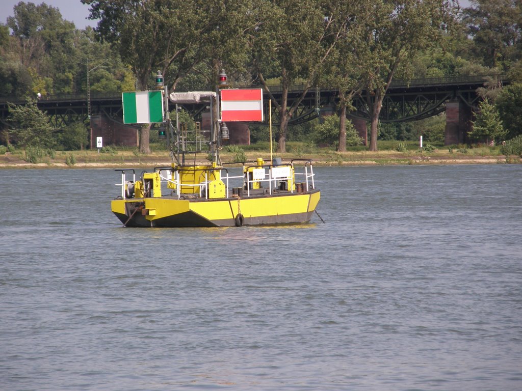 Signal Boat, Майнц