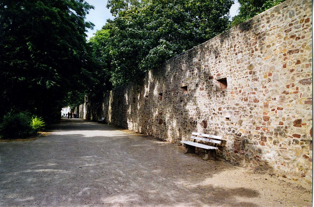 Trier Stadtmauer, Трир